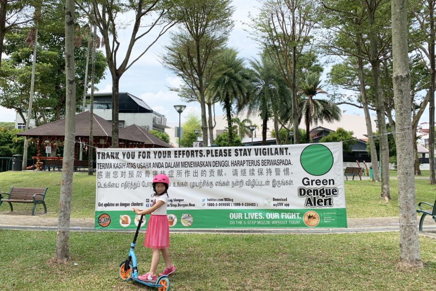 Dengue Fever Green Alert