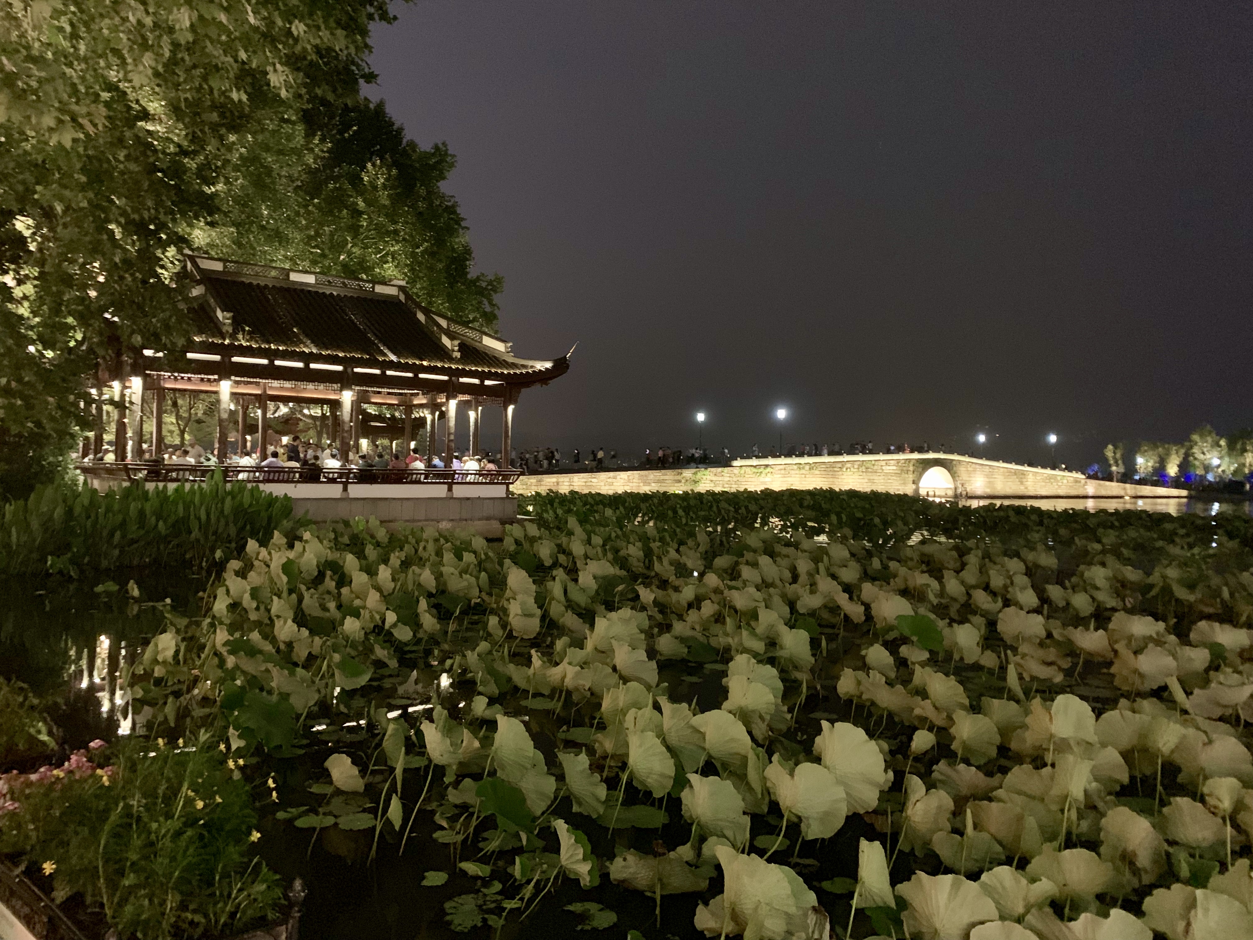 Hangzhou at night