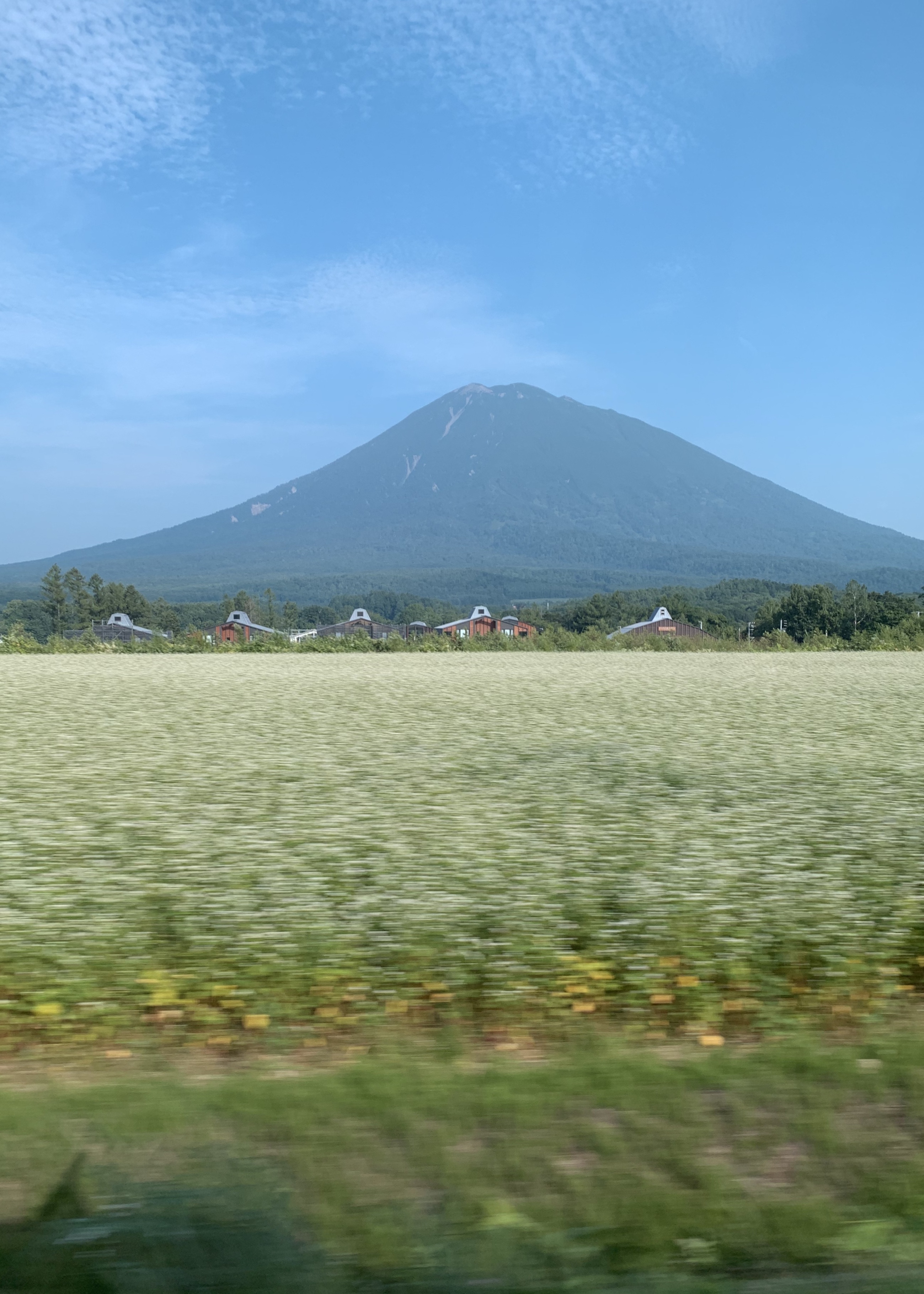 Mount Yotei