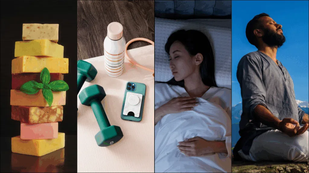 4 pillars of health
