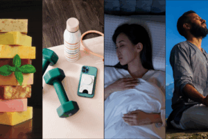 4 pillars of health