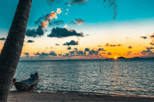 Stress Management: Cultivating Calm in a Busy World