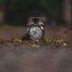 Why Coaching is Essential for Climate (and All) Business Strategies