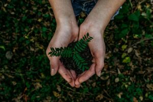 Green Coaching: How Daily Habits Shape Environmental Impact