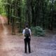 From Intern to Leader: How Coaching Shapes Career Pathways