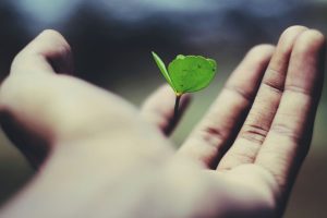 Sustainability as Self-Leadership: Coaching the Inner Green Compass